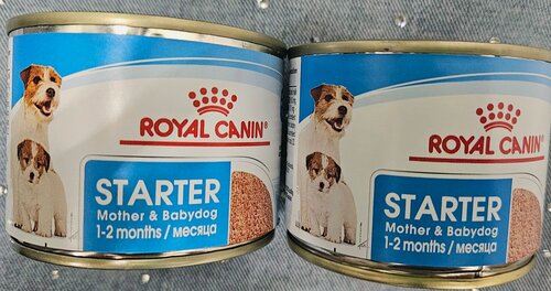 Изображение товара Влажный корм Royal Canin "Starter", для щенков всех пород, 2 шт по 195г