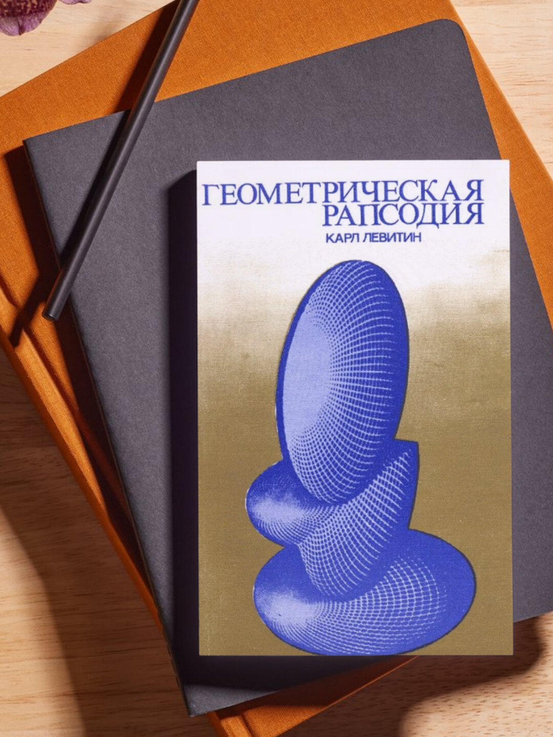 Книга Карл Левитин "Геометрическая рапсодия", научно-популярное издание, 2025 г, черно-белые иллюстрации