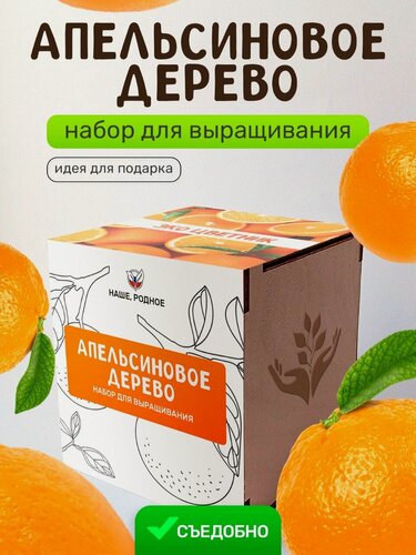 Изображение товара Набор для выращивания растений Сад на окне "Апельсиновое дерево", в деревянном горшочке