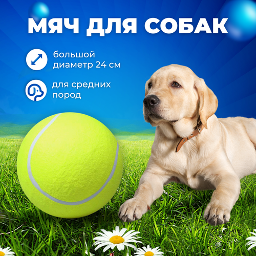 Игрушка для собак теннисный большой мячик 24 см брелок для собак собака считает хозяина