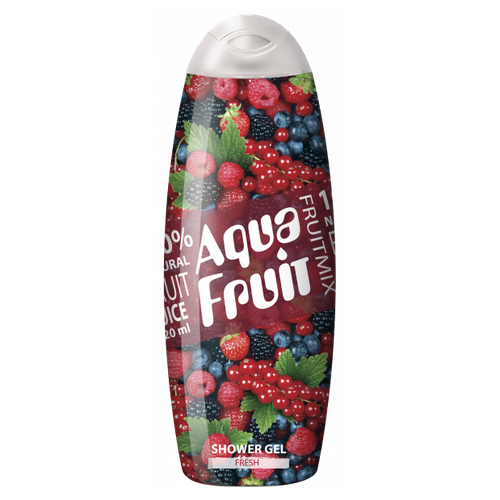 БИГ/Клевер Гель для душа Aqua Fruit Fresh 420 мл