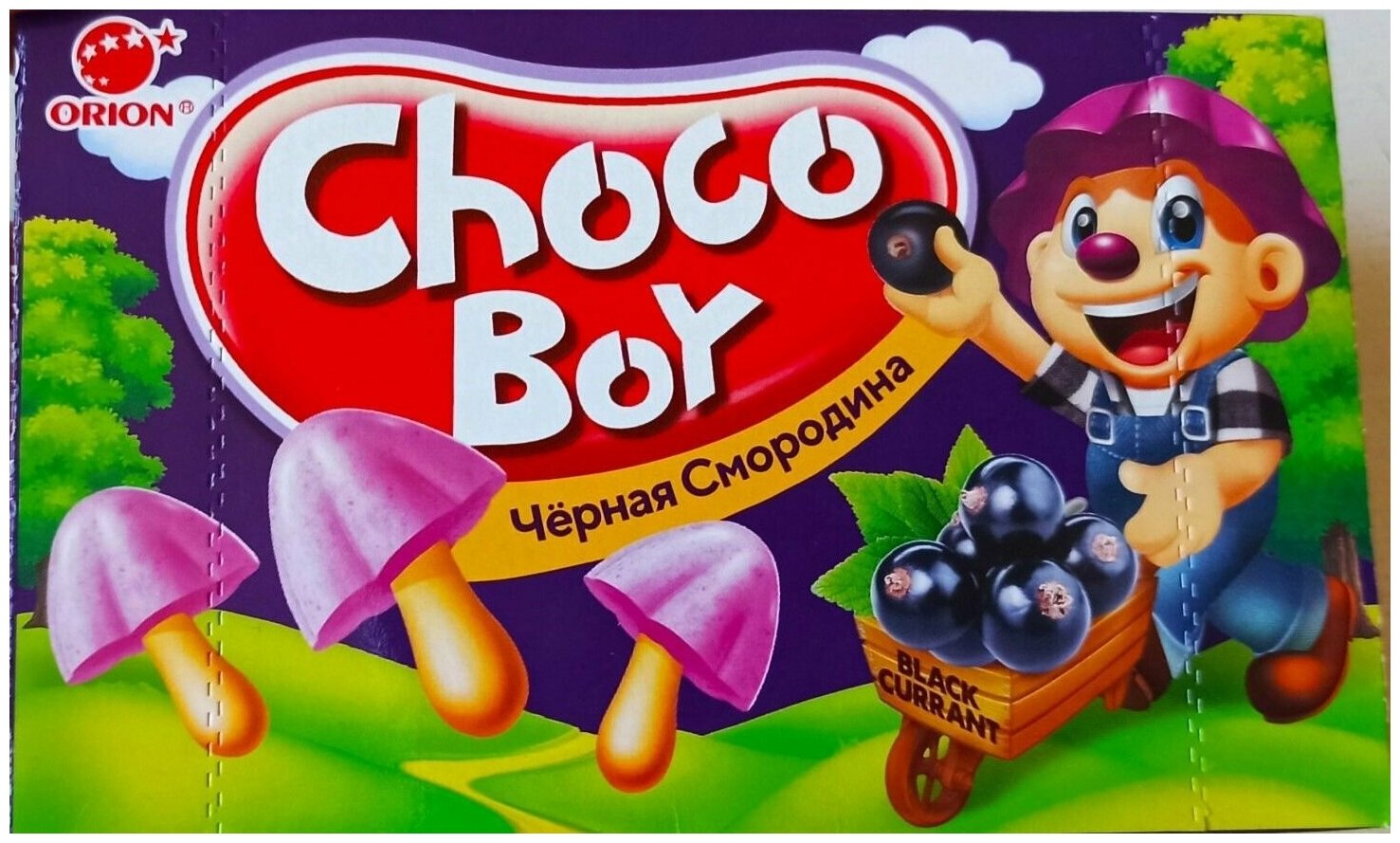 Печенье Orion Choco Boy Чёрная смородина, 6 шт по 45 г - фотография № 2
