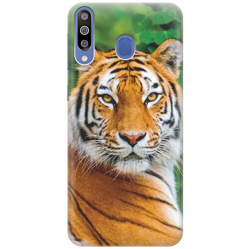 RE: PAЧехол - накладка ArtColor для Samsung Galaxy M30 с принтом Портрет тигра re paчехол накладка artcolor для samsung galaxy j5 2017 с принтом портрет тигра