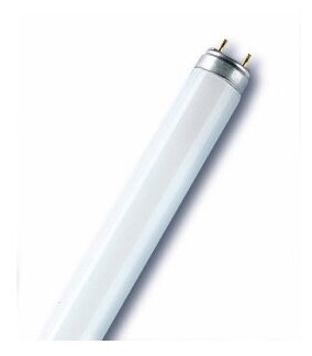 OSRAM L 15 W/77 G13 - лампа люминесцентная d=26 мм l=438 мм FLUORA® T8