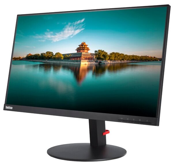 Монитор Lenovo ThinkVision T24i-2L 23.8