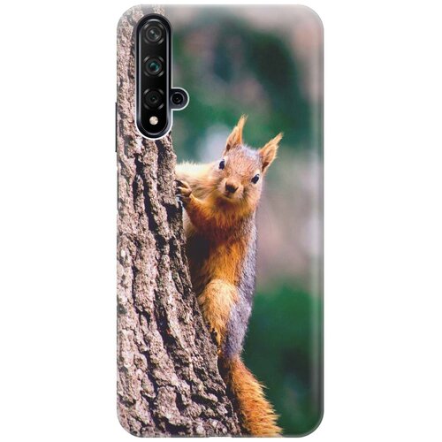 фото Re:pa накладка transparent для huawei nova 5 с принтом "белочка"