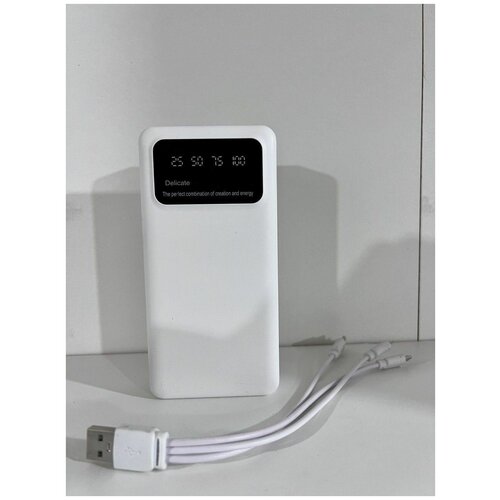 Пауэрбанк Delicate 30 000 mAh с фонариком и универсальными кабелями в комплекте 215000₽