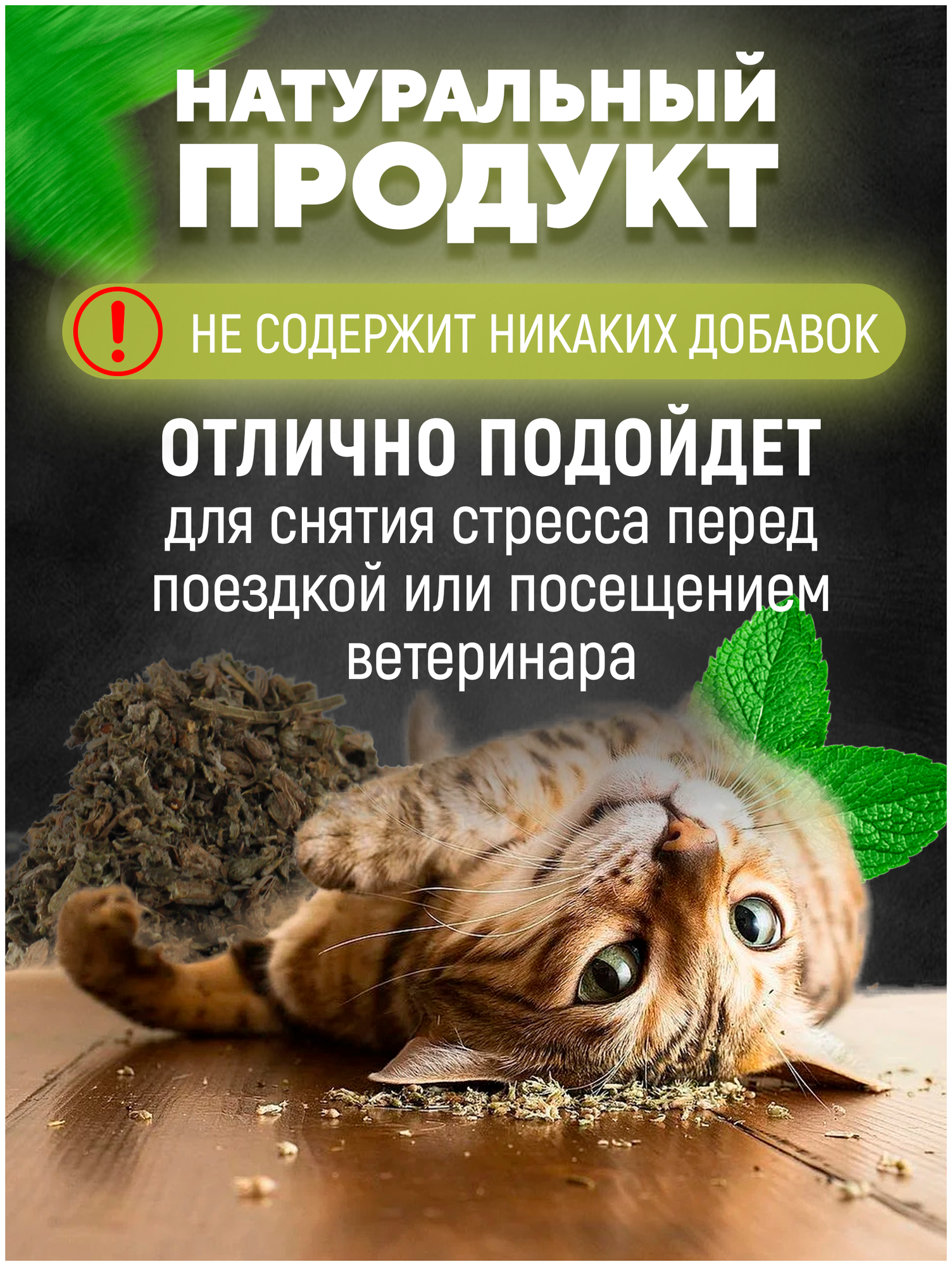 Лакомства для кошек Кошачья мята - фотография № 3