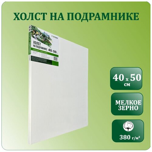 Холст на подрамнике 40х50 см, Хоббитания, хлопок 380 гр/м2, холст для рисования акриловыми и масляными красками, модульный подрамник, грунт акриловый