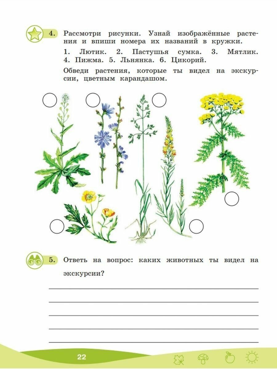 Что мы знаем про то, что нас окружает? 1-4 классы. Тетрадь-практикум. Часть 1 - фото №6