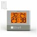Электронный термометр RST RST02715