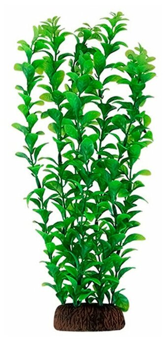 Растение Laguna "Людвигия" зеленая, 500мм . - фотография № 3