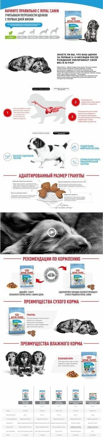 Сухой корм Royal Canin X-Small Puppy (Икс Смолл Паппи) для щенков миниатюрных пород (вес взрослой собаки до 4 кг) до 10 месяцев, 3 кг - фотография № 14