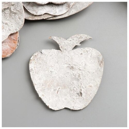 фото Набор декоративных элементов из коры дерева "яблоко", 7 см, 8 шт, белый 5219364 astra & craft