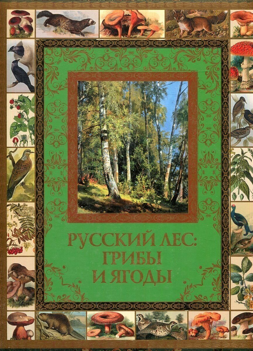 Русский лес. Грибы и ягоды (Группа авторов) - фото №11