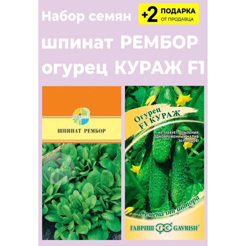 Набор семян: Шпинат "Рембор", А, 1 гр. + Огурец "Кураж F1", 10 сем. + 2 Подарка