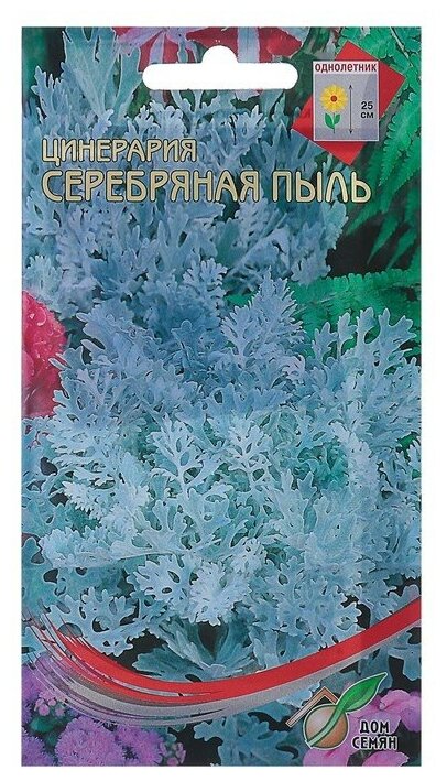 Семена цветов Цинерария "Дом семян", "Серебряная пыль", однолетник, 130 шт.