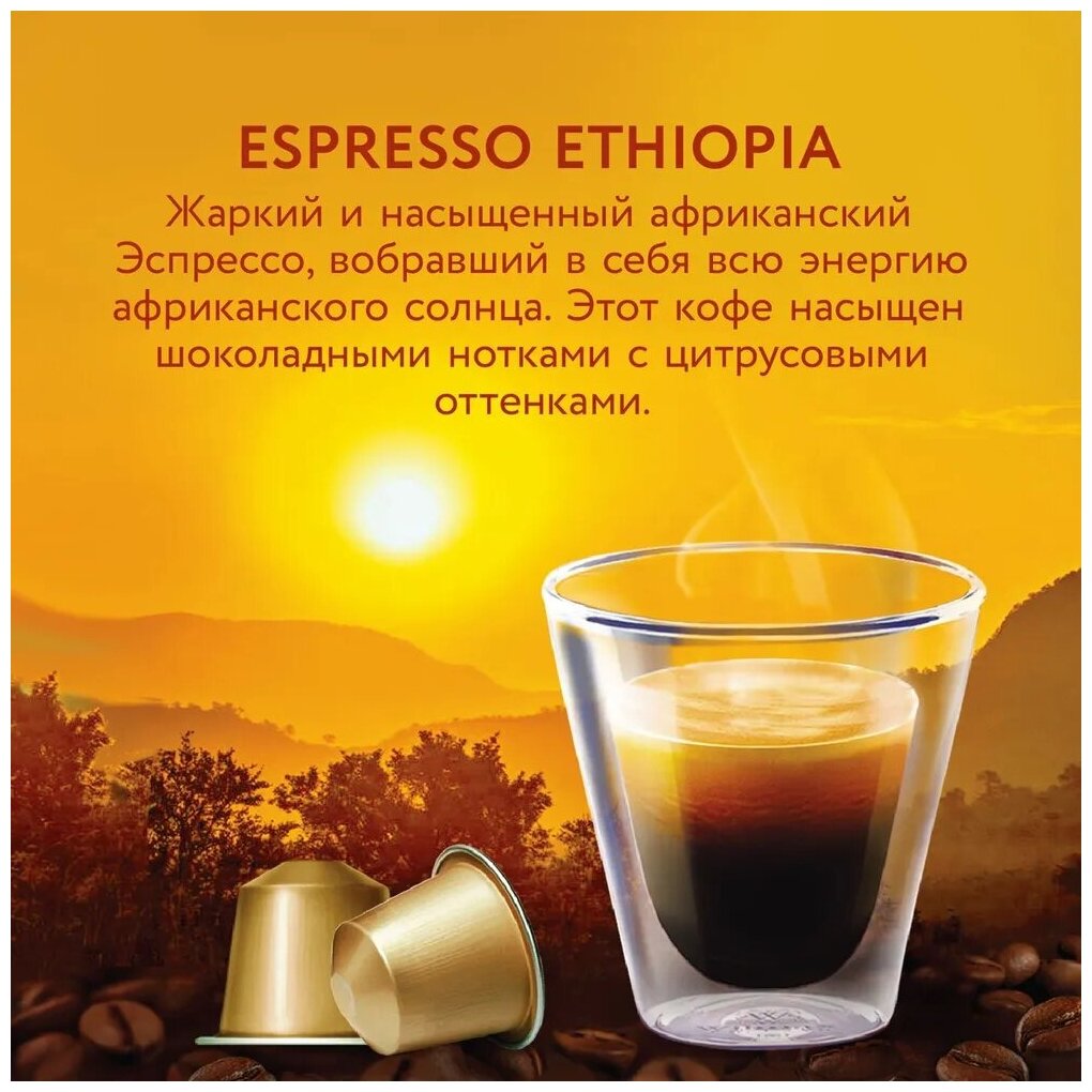 Кофе в капсулах Veronese Espresso ETHIOPIA (стандарт Nespresso), 10 капсул — фото 1