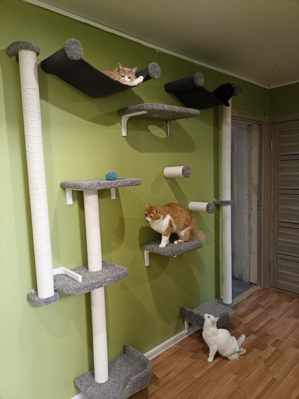 Настенный комплекс для кошек "Килиманджаро" - фотография № 2