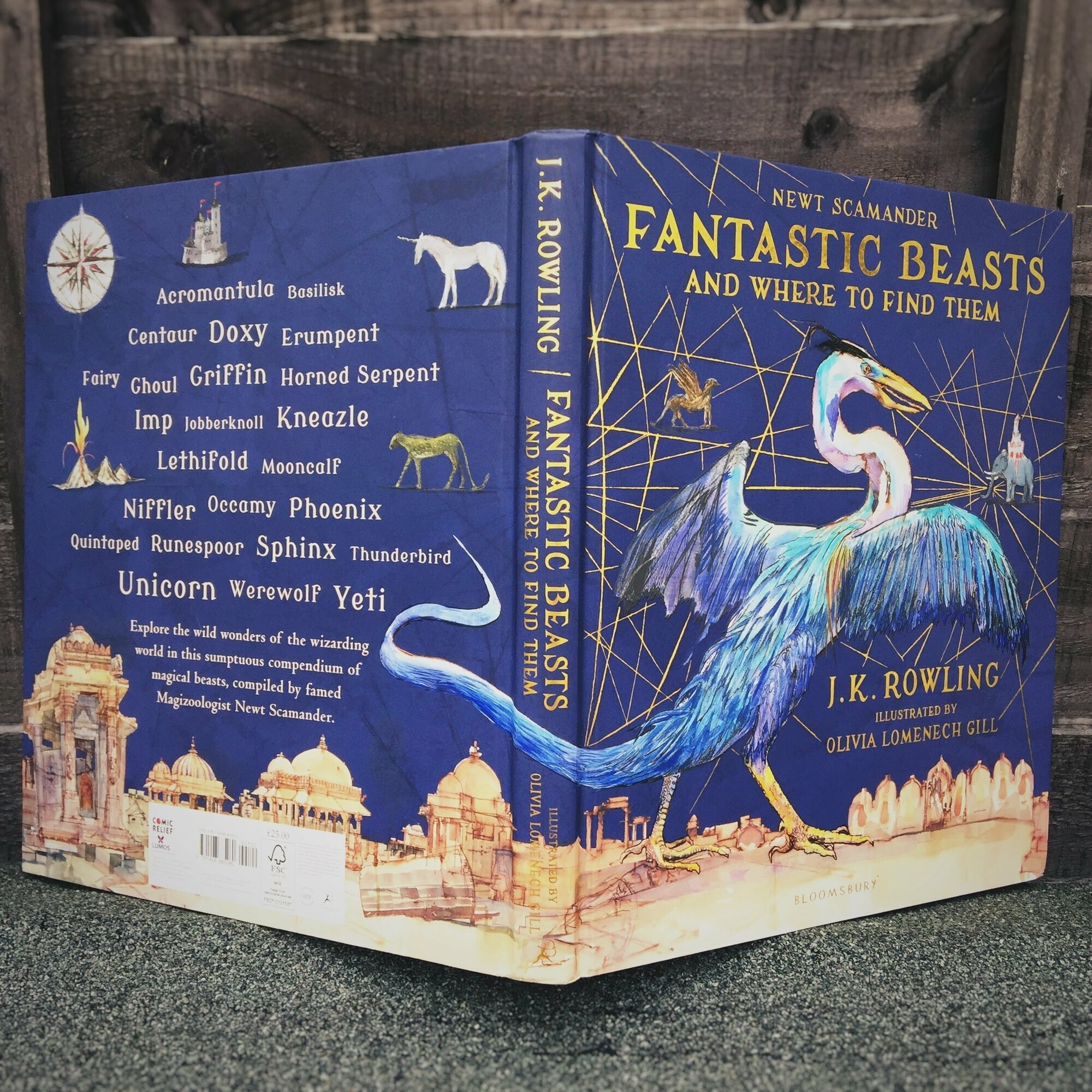 Fantastic Beasts and Where to Find Them - фото №4