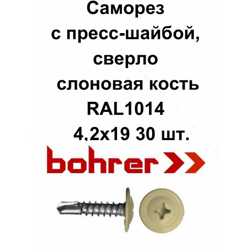 Саморез 4,2х19 (RAL1014) слоновая кость по металлу полусфера с пресс-шайбой, сверло (30 шт) саморезы с прессшайбой 4 2х32 мм со сверлом оцинкованные 1кг