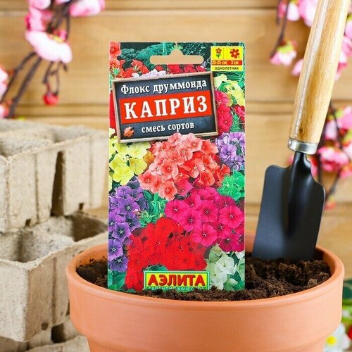 Семена цветов Флокс Каприз, смесь окрасок 0,2 г 6 упаковок