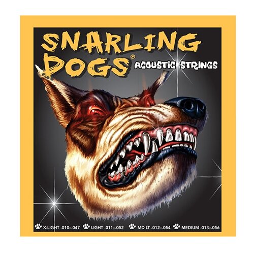 D'Andrea SDP13 Струны для акустической гитары струны для электрогитары snarling dogs 011 049