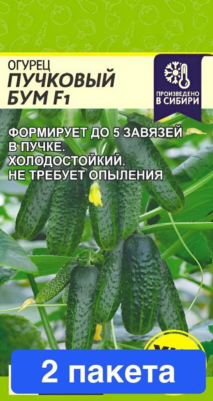 Семена овощей Семена Алтая "Огурец Пучковый Бум", F1, 5 шт, 2 пакета