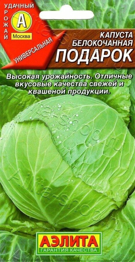 Семена капусты 