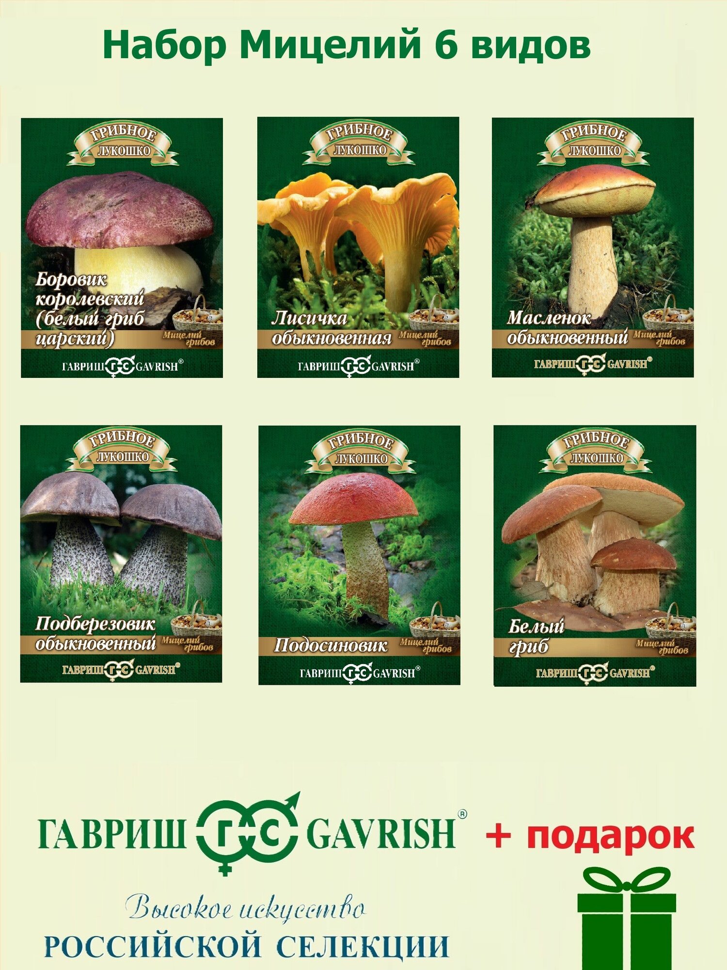 Набор Мицелий 6 видов (Белый Боровик Лисичка Масленок Подберезовик Подосиновик) на зерновом субстрате Гавриш