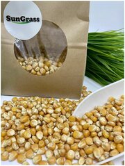 SunGrass / Зерно кукурузы для попкорна - 250 г / Premium, бабочка