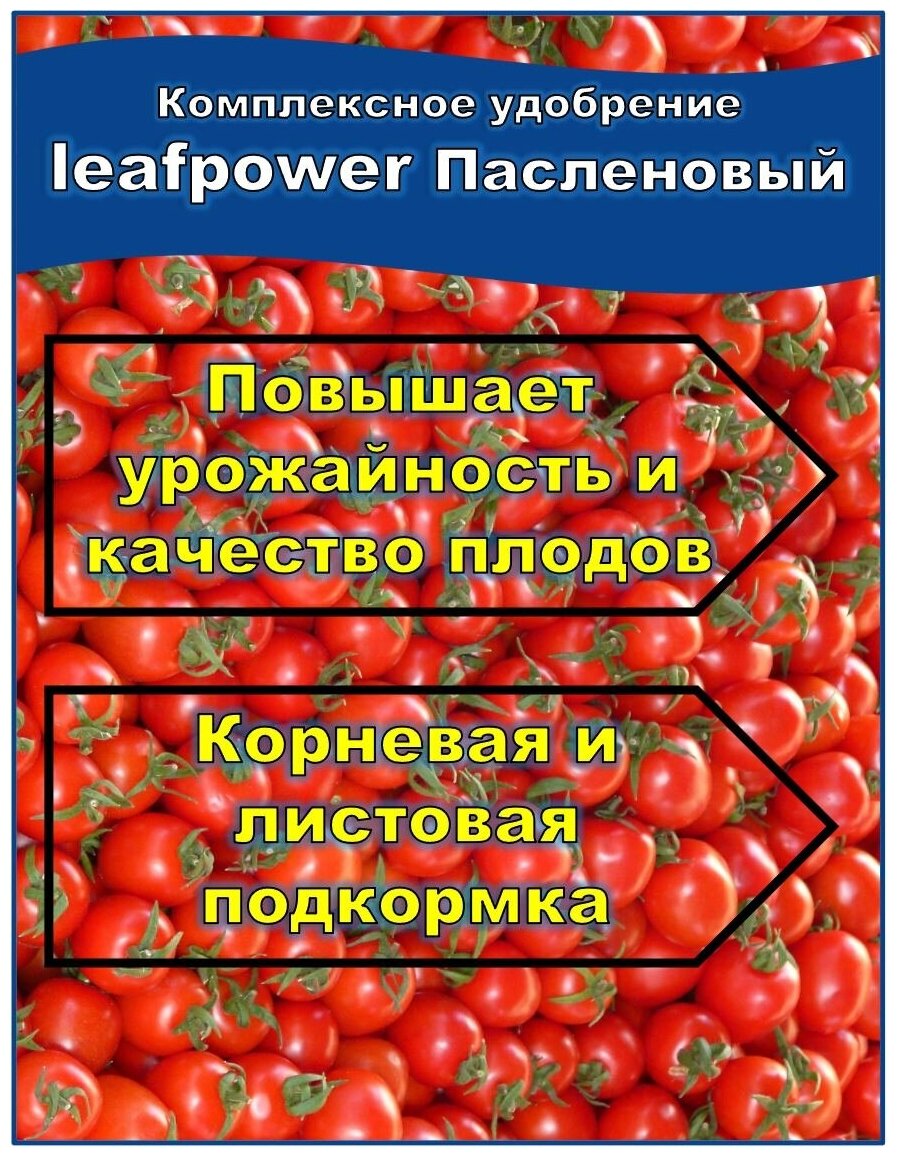 Удобрение фертика Leaf Power 50 г для пасленовых культур: томатов (помидор), перца и баклажанов NPK 6,2:11:31+микро. Набор 3шт - фотография № 6