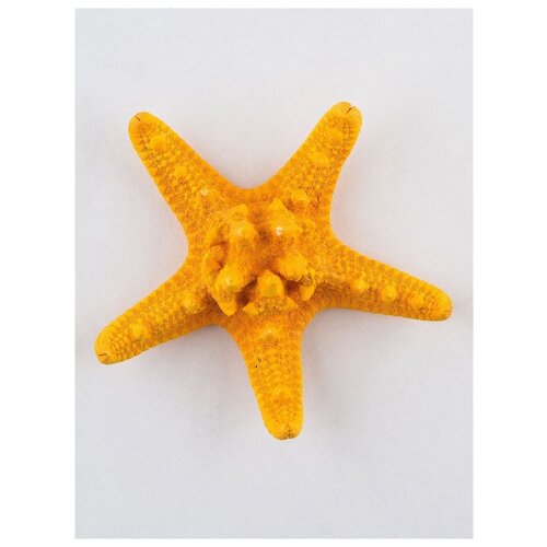 Декоративная морская звезда, 1 шт., MZF-001, Zlatka, оранжевый