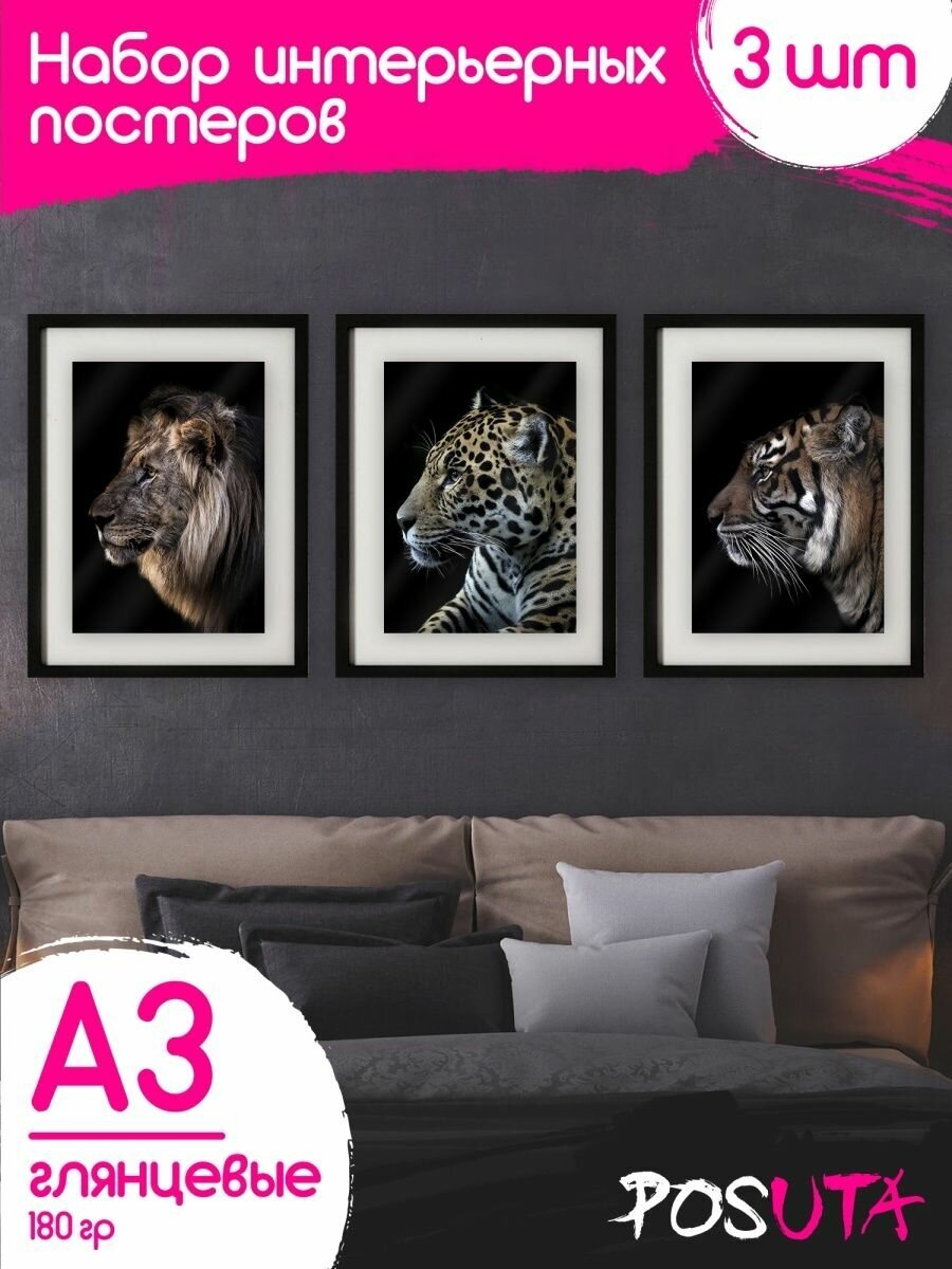 Постеры Лев Тигр Леопард животные Африки картины А3