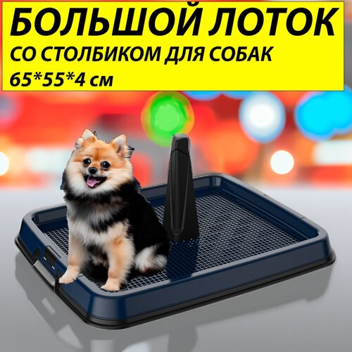 Туалет - лоток для собак со стойкой 65554 синий 2099₽