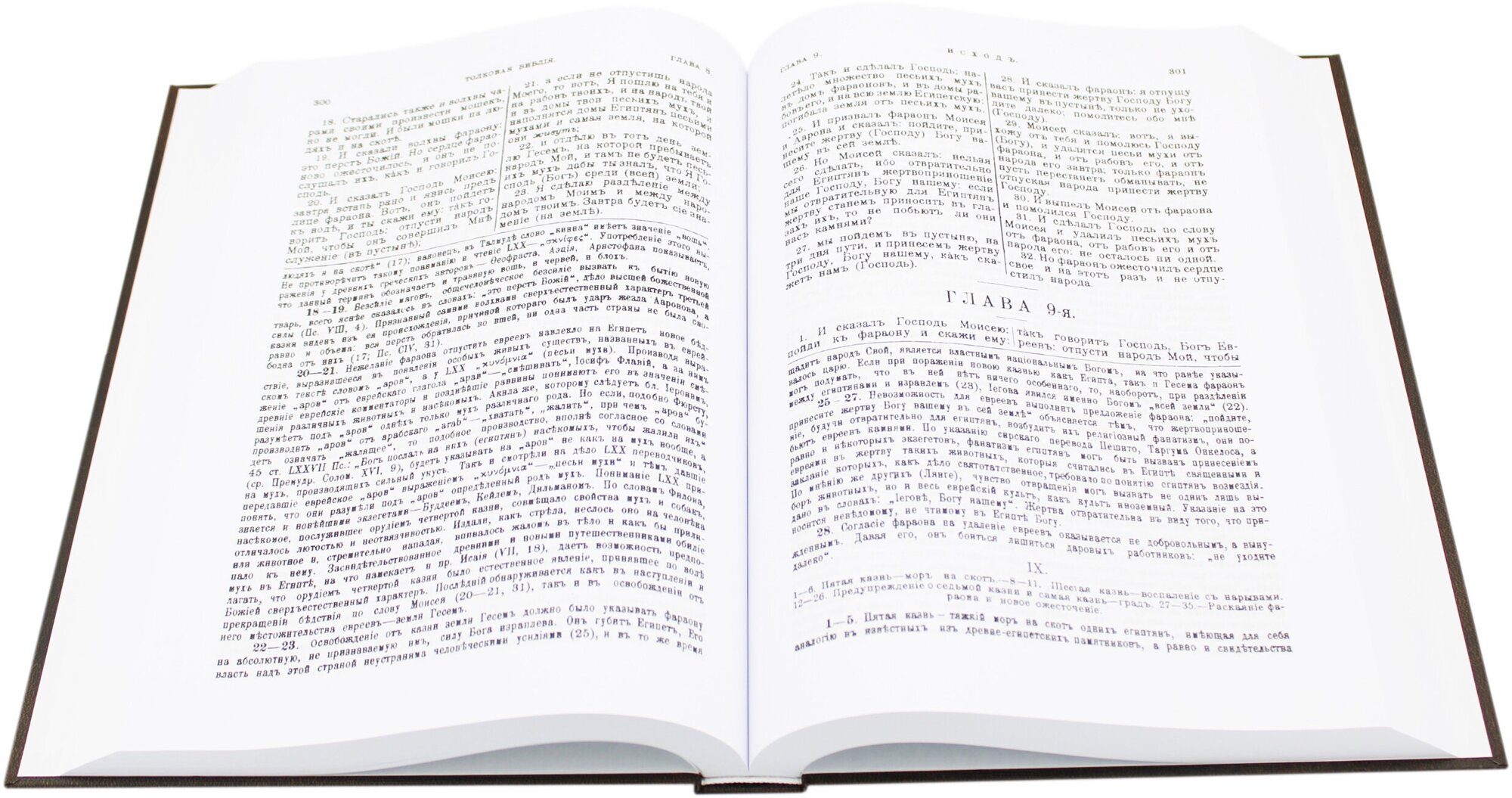 Толковая библия Лопухина А.П. Комплект из 11 книг - фото №5