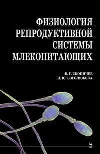 Физиология репродуктивной системы млекопитающих - фото №2