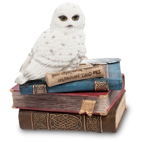 фото Ws-720 шкатулка сова на книгах veronese