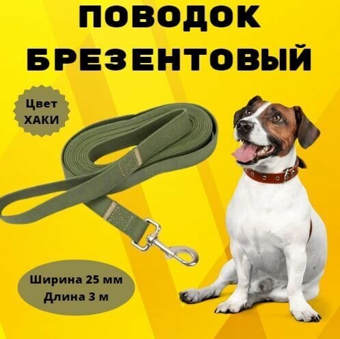 Поводок брезентовый Моськи-Авоськи 25 мм х 3 м, цвет хаки - фотография № 1