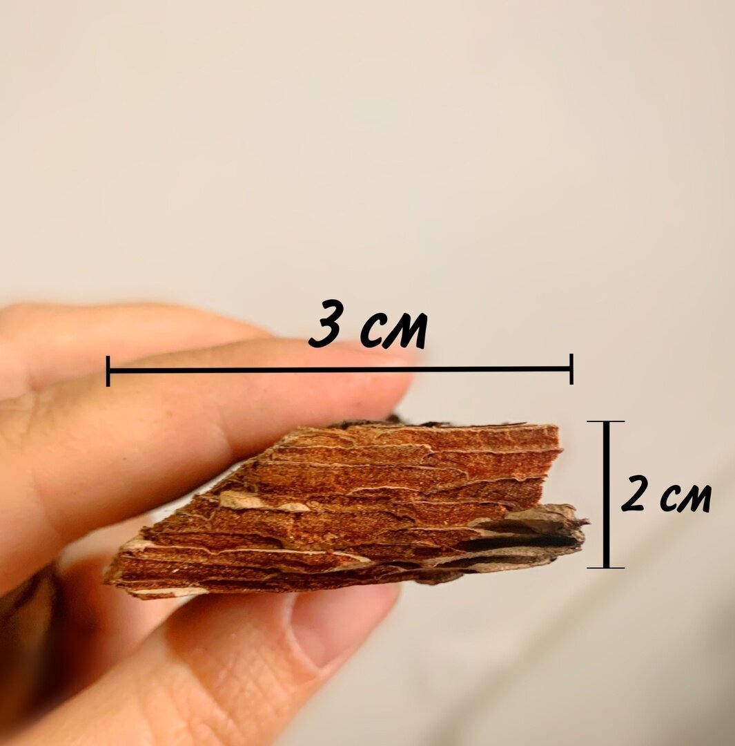 кора сосны для орхидей 1.5 л - фотография № 3