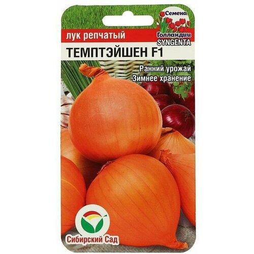 Семена Лук Сибирский сад, Темптэйшен,100 шт 3 упаковки