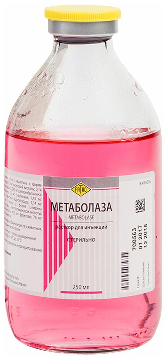 Метаболаза препарат для нормализации обмена веществ 250 мл раствор для инъекций (1 шт)