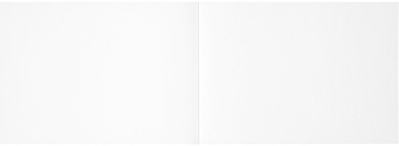 Альбом для рисования 48л, А4, на склейке Мульти-Пульти "Приключения Енота", 120г/м2, с раскраской, 4 шт