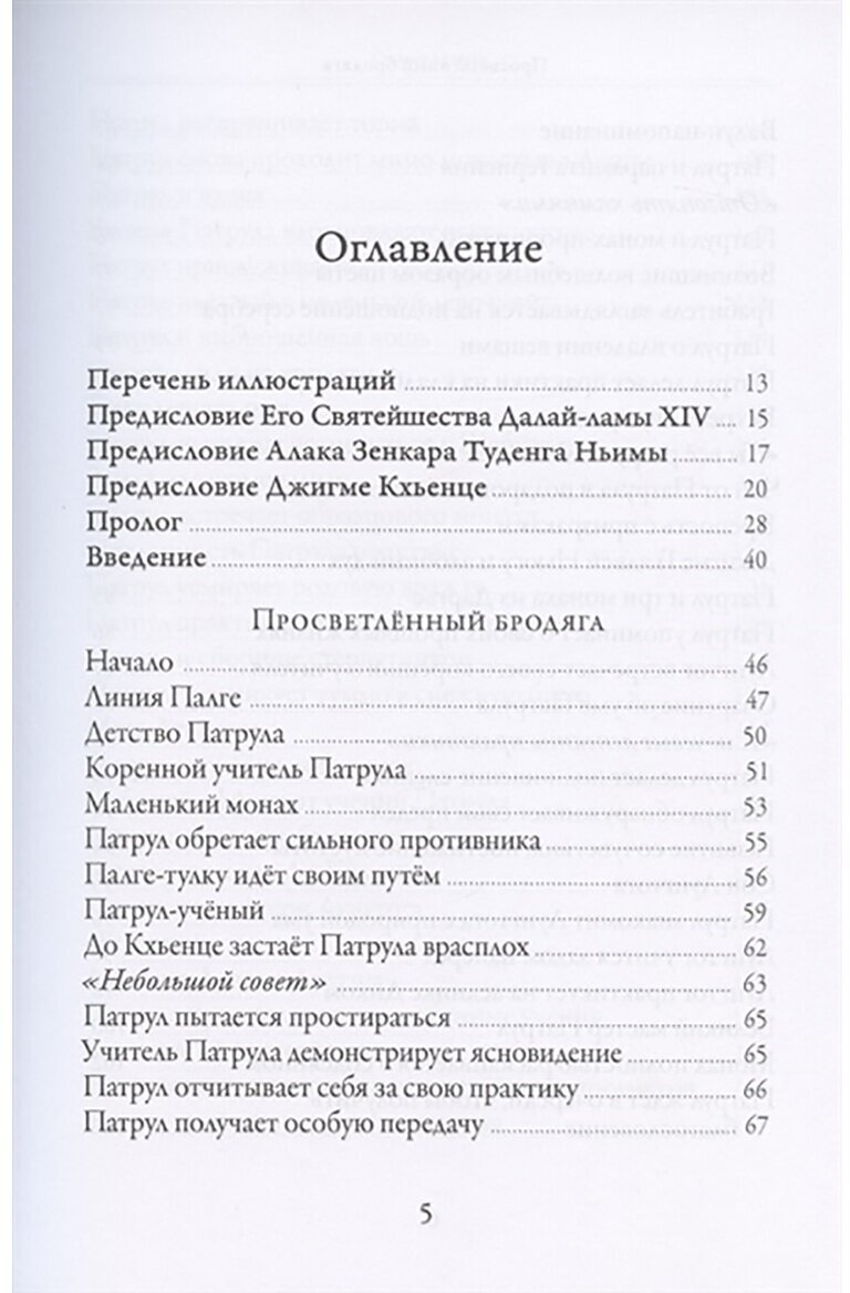 Просветлённый бродяга. Жизнь и учения Патрула Ринпоче - фото №5