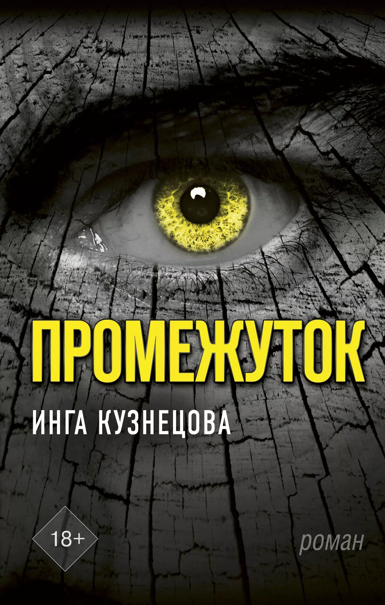 Промежуток (Инга Кузнецова)