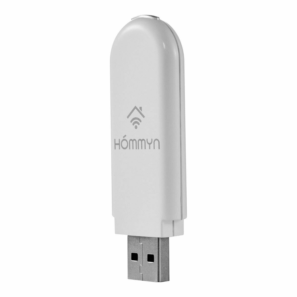 Модуль съемный управляющий HOMMYN HDN/WFN-02-01 НС-1416708
