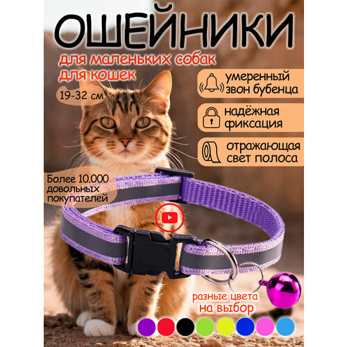 Ошейник для кошек и собак светоотражающий с колокольчиком фиолетовый