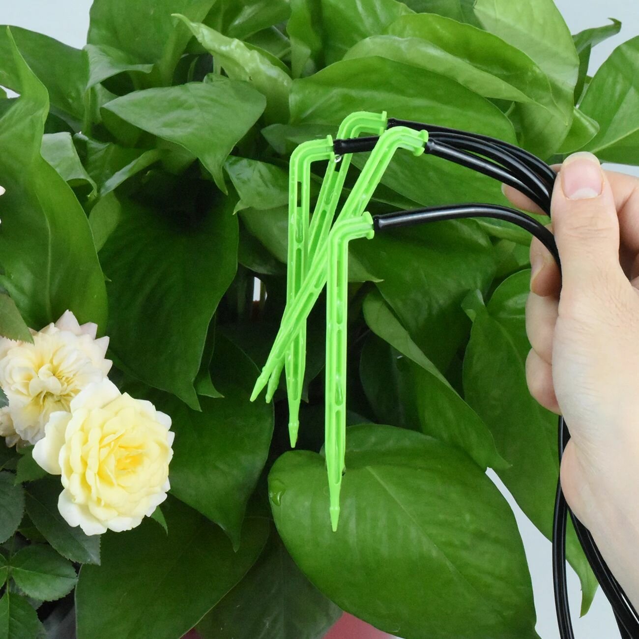 Система капельного полива 100 метров — фото 1