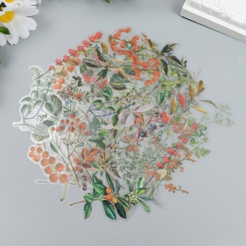 Наклейки для творчества Ягоды набор 40 шт 12х9 см 585₽