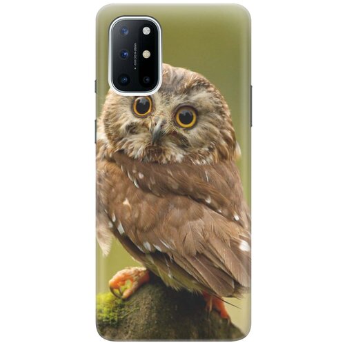 фото Cиликоновый чехол на oneplus 8t / ванплюс 8т с принтом "сова на дереве" gosso